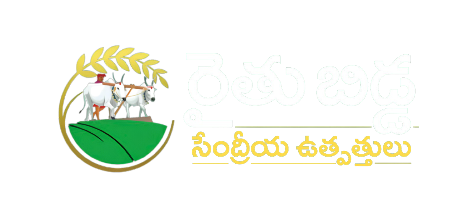 dining-archives-raitu-bidda-organic-store