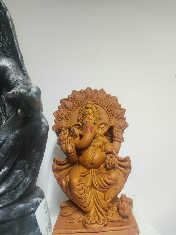 Ganesh galla colour