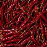 red chilli whole